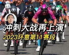 包含社区盾赛程吃紧；华盛顿奇才冲刺阶段完成体检；赛场秩序良好；阵容厚度经受考验的词条